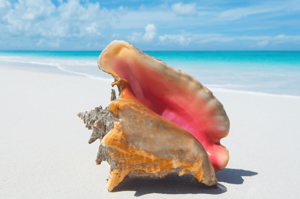 [DayTheEngagementWasBroken] Chapter 36.2 — I Didn’t Give You A Gift On Your Zhuazhou&nbsp;Ceremony